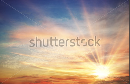 Shutterstock image